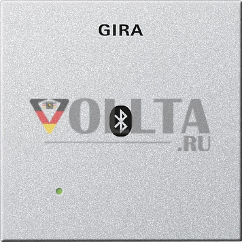 Gira 228826 System55 Заглушка,  для вставки док-станции, цвет: алюминевый